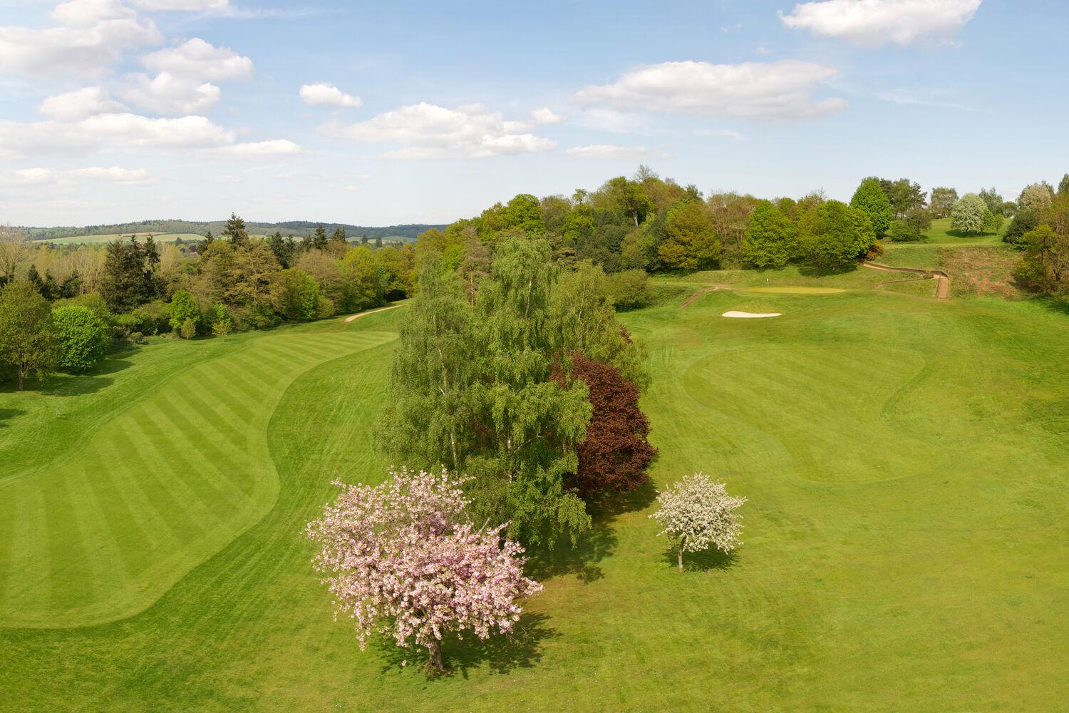 4 Bramley Golf Club
